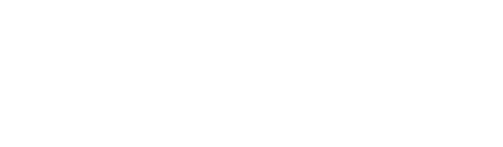 Surtidora Departamental